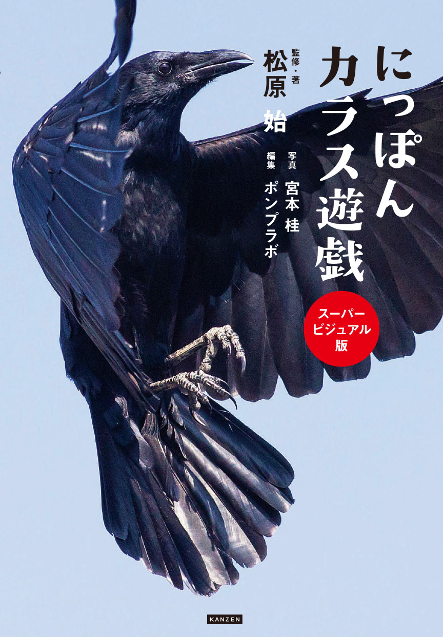 にっぽんカラス遊戯