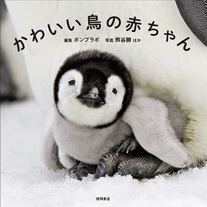 かわいい鳥の赤ちゃん