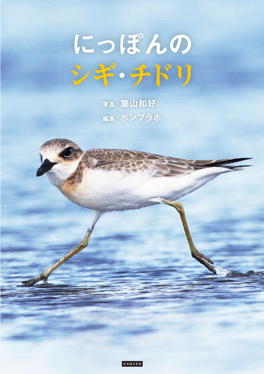 にっぽんのシギ・チドリ