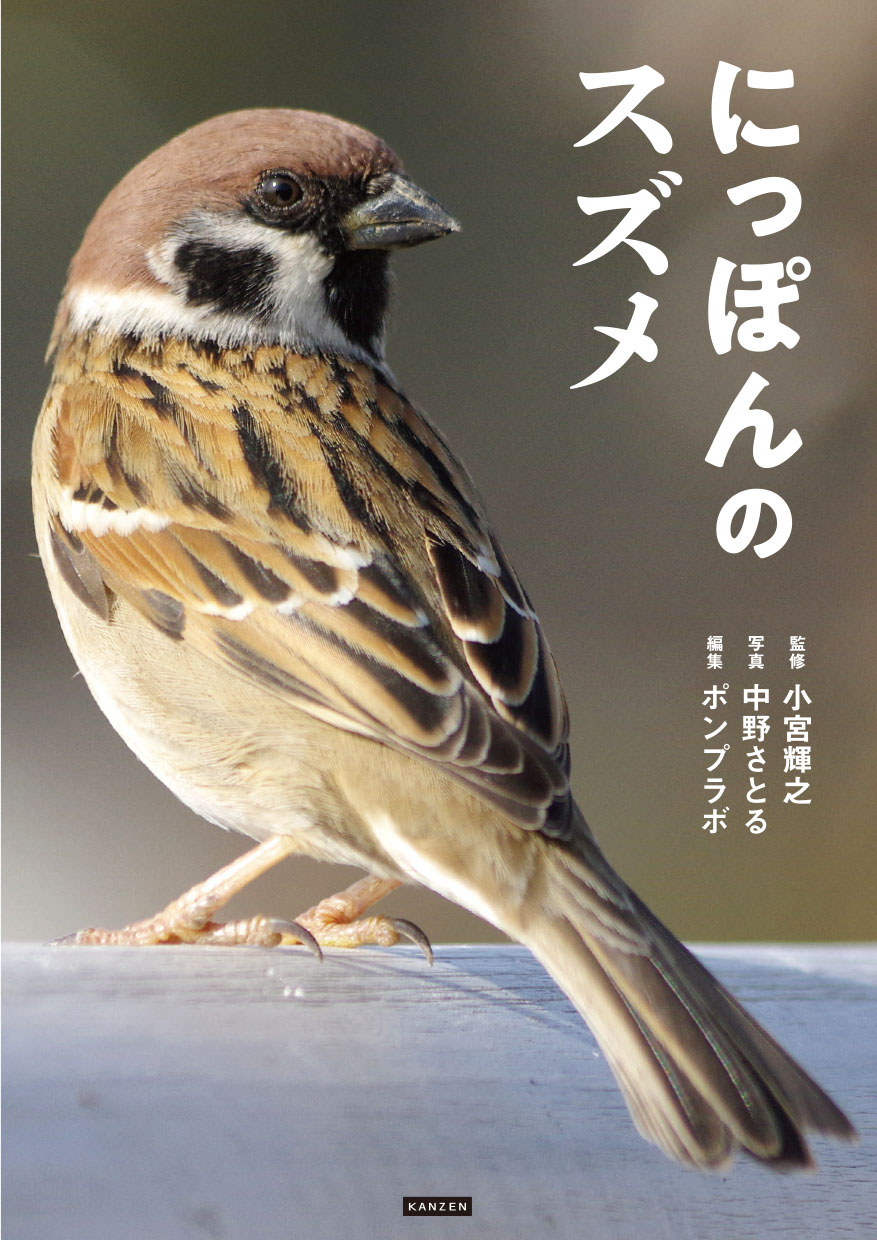 にっぽんのスズメ