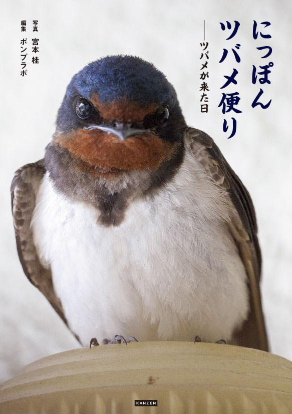 にっぽんツバメ便り