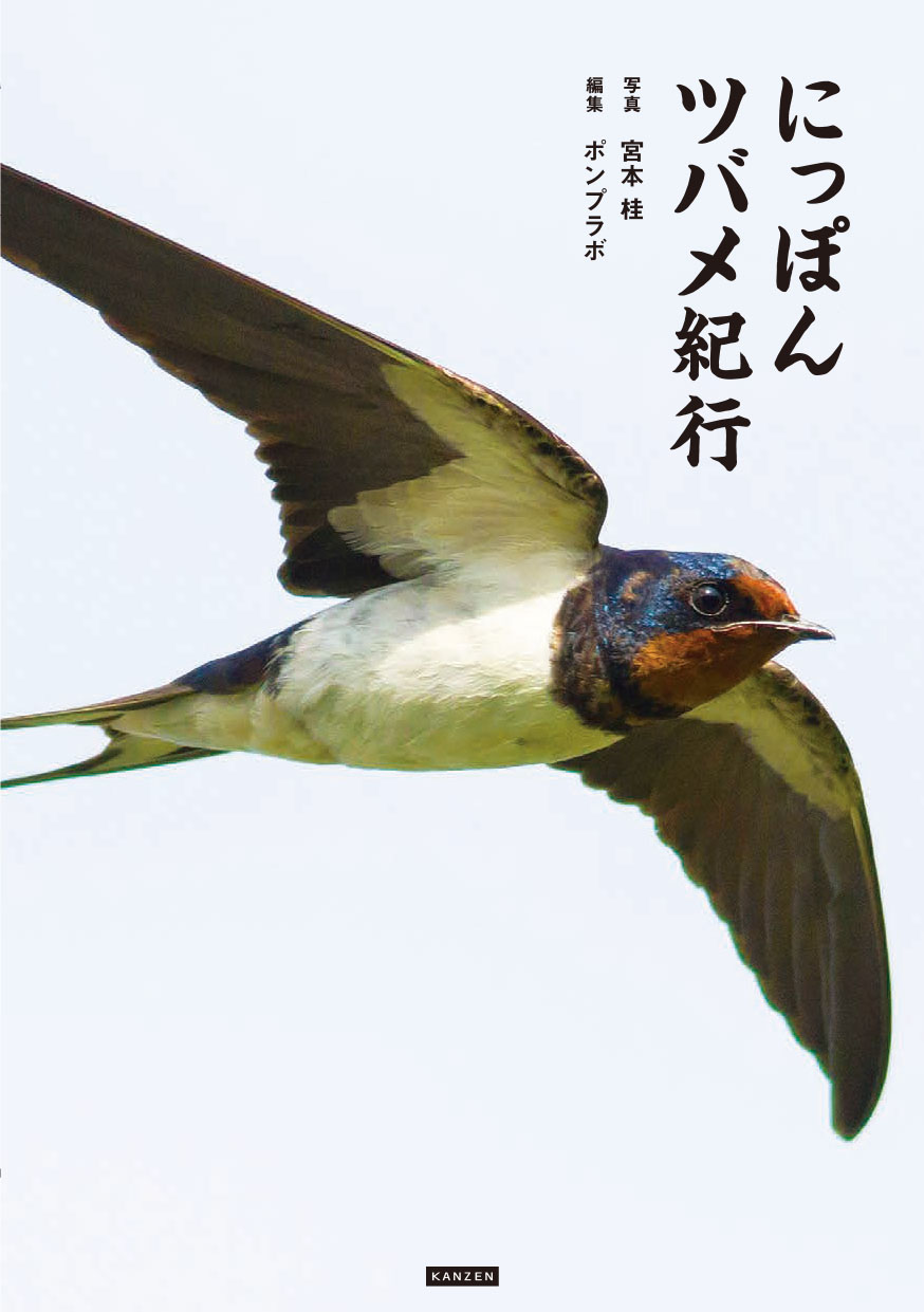 にっぽんツバメ紀行
